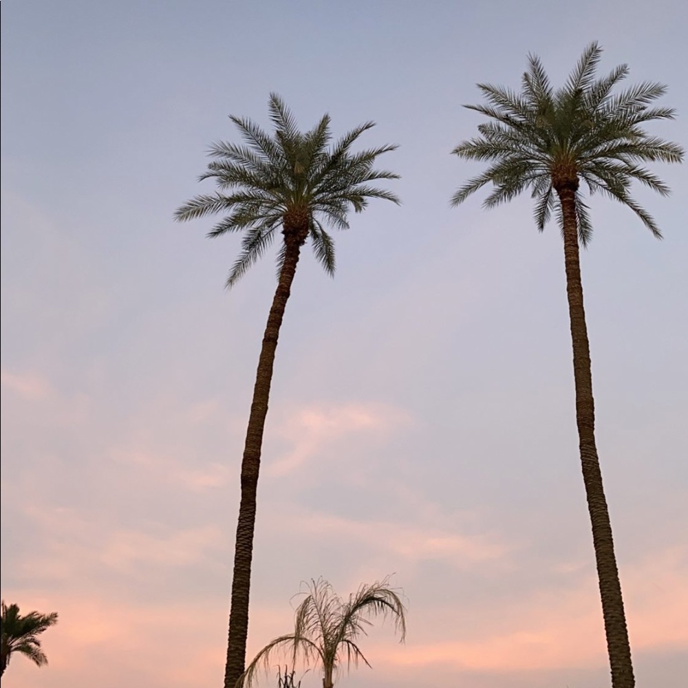 Meet your Posher, Lexi